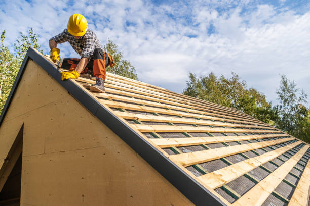 Best Roof Gutter Cleaning  in Minot Af, ND