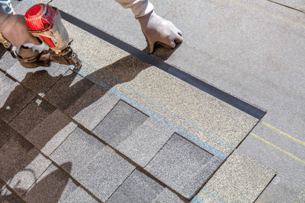 Best Roof Leak Repair  in Minot Af, ND